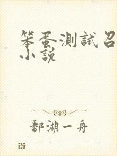 笨蛋测试召唤兽小说