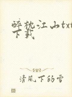 醉枕江山txt下载