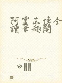 阿宾正传全文阅读笔趣阁