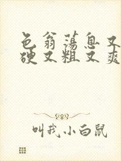 色翁荡息又大又硬又粗又爽小莹