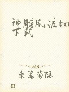 神雕风流txt下载
