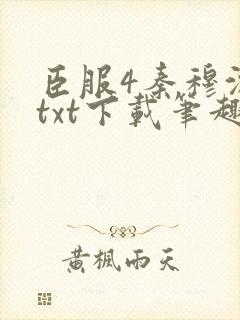 臣服4秦穆沈流txt下载笔趣阁