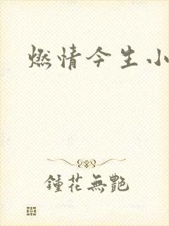 燃情今生小说