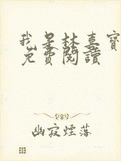 我是林喜宝小说免费阅读