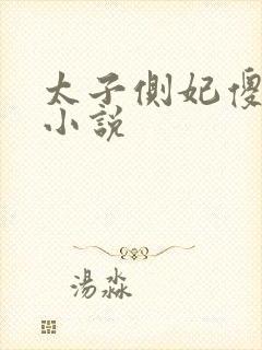 太子侧妃傻乎乎小说