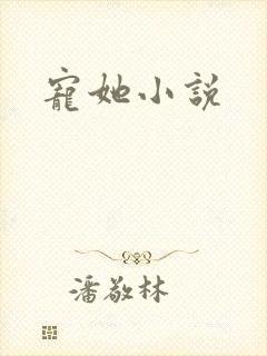 宠她小说