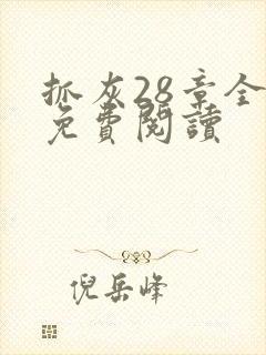 抓灰28章全部免费阅读