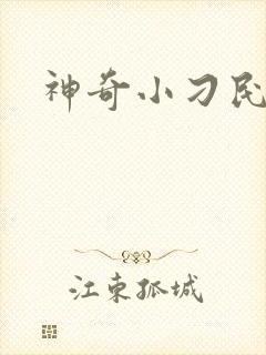 神奇小刁民