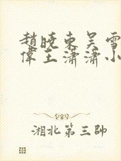 赵晓东吴雪晴郑伟王潇潇小说名字