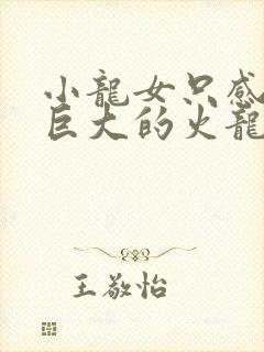 小龙女只感觉那巨大的火龙枪