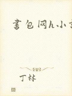 书包网h小说