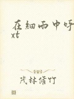 在细雨中呼喊txt