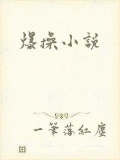 爆操小说