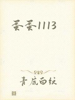 蛋蛋1113