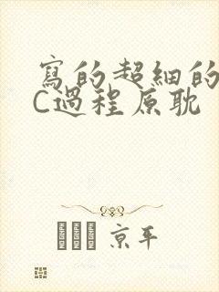 写的超细的多肉C过程原耽