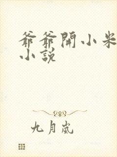爷爷开小米的包小说