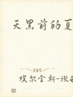 天黑前的夏天