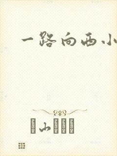 一路向西小说