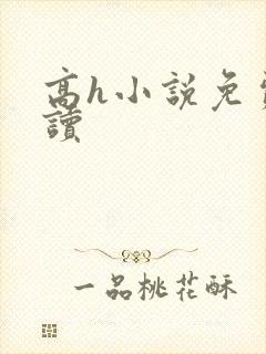 高h小说免费阅读