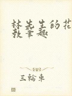 林先生的花式管教笔趣