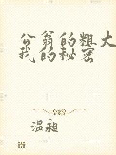 公翁的粗大放进我的秘密