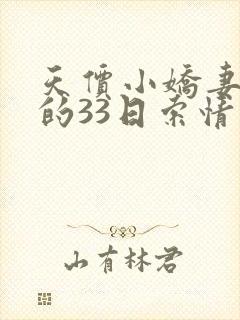 天价小娇妻总裁的33日索情