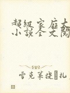 超级家庭大杂烩小说全文阅读