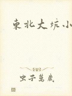东北大坑小说
