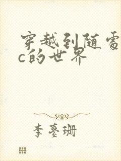 穿越到随处可以c的世界