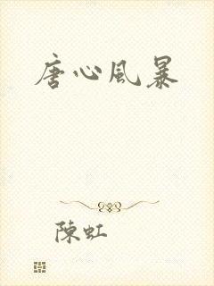 唐心风暴