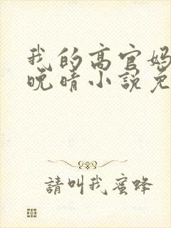 我的高官妈妈苏晚晴小说免费阅读