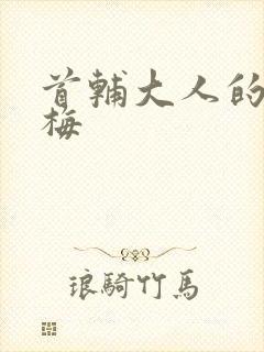 首辅大人的小青梅