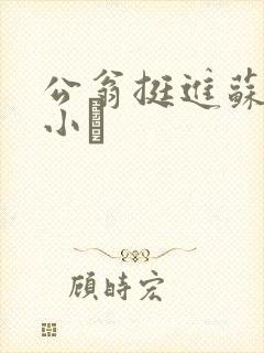 公翁挺进苏玥的小泬