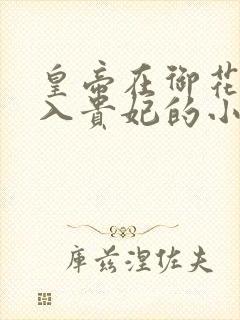 皇帝在御花园进入贵妃的小说