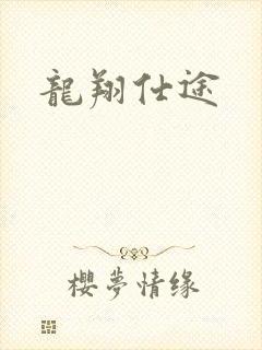 龙翔仕途