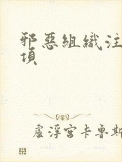 邪恶组织注意事项