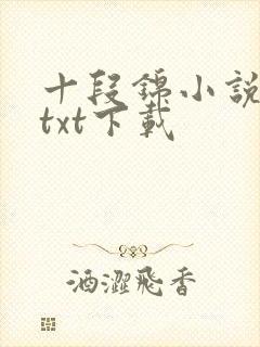 十段锦小说全本txt下载