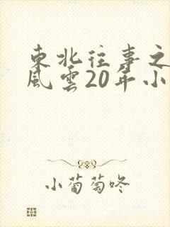 东北往事之黑道风云20年小说