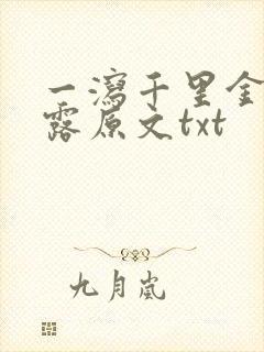 一泻千里金银花露原文txt