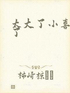 太大了小喜涨死了