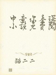 中意你秦琛苏沫小说免费阅读