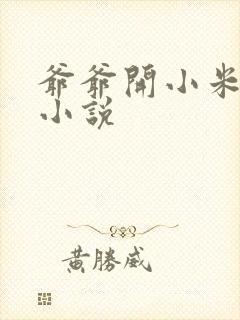 爷爷开小米的包小说