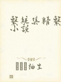 系统集精系统 小说