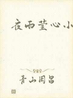 夜雨莹心小说