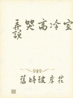 弄哭高冷室友小说