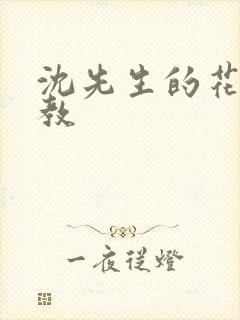 沈先生的花式调教