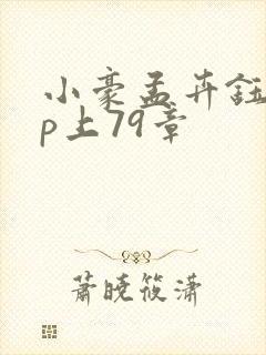 小豪孟卉钰慧三p上79章