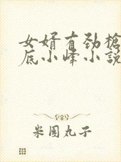 女婿有劲枪枪到底小峰小说