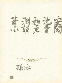 萧渊和沈安安的小说免费阅读