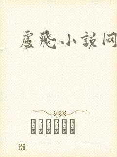 卢飞小说网